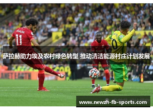 萨拉赫助力埃及农村绿色转型 推动清洁能源村庄计划发展