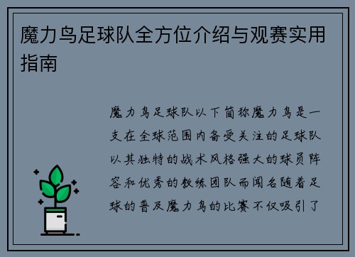 魔力鸟足球队全方位介绍与观赛实用指南 魔力鸟足球队全方位介绍与观赛实用指南